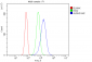 Anti-ALDH2 Antibody Picoband™(monoclonal, 6H2)