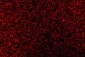 Anti-AREB6/ZEB1 Antibody Picoband™ (monoclonal, 8B12D7)