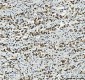 Anti-PC4/SUB1 Antibody Picoband™ (monoclonal, 8D9D1)