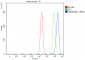 Anti-Hsp90 beta/HSP90AB1 Antibody Picoband™ (monoclonal, 7B7F5)
