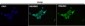 Anti-HoxC6 Rabbit Monoclonal Antibody