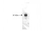 Anti-CARBOXYPEPTIDASE Y (RABBIT) Antibody