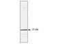 Anti-HSP27 (MOUSE) Monoclonal Antibody