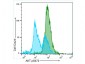 Anti-AKT pS473 (MOUSE) Monoclonal Antibody