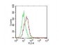 Anti-Human IL-17E (MOUSE) Biotin Conjugated Monoclonal Antibody