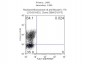 Anti-Mouse IL-17A (RAT) Monoclonal Antibody