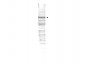 Anti-CDC27 (RABBIT) Antibody