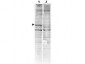 Anti-CaM Kinase II (RABBIT) Antibody