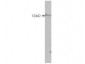 Anti-HDAC5 (RABBIT) Antibody