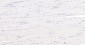 LRP2 Recombinant Rabbit mAb