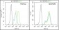 HPV16 E7 Rabbit pAb