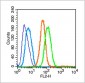 CD44 Rabbit pAb