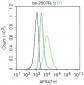 CD44 Rabbit pAb