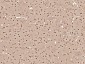 phospho-AMPK alpha 1 (Ser356) Rabbit pAb