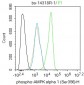 phospho-AMPK alpha 1 (Ser356) Rabbit pAb