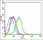CD44V6/HCAM Rabbit pAb