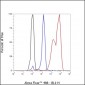 FASN Recombinant Rabbit mAb