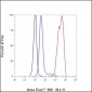 TFEB Recombinant Rabbit mAb