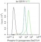 Phospho-ALOX5 (Ser271) Rabbit pAb