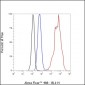 Keratin 15 Recombinant Rabbit mAb