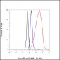 Histone H3 (NT) Recombinant Rabbit mAb