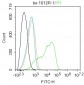 Notch3 Rabbit pAb