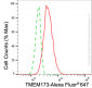 KD-Validated Anti-TMEM173 Rabbit Monoclonal Antibody