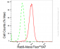 KD-Validated Anti-Rab9 Rabbit Monoclonal Antibody