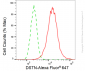 KD-Validated Anti-DSTN Rabbit Monoclonal Antibody