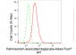 KD-Validated Anti-Parkinsonism associated deglycase Rabbit Monoclonal Antibody