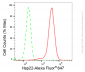 KD-Validated Anti-Hsp22 Rabbit Monoclonal Antibody