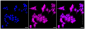 KD-Validated Anti-EIF4EBP1 Rabbit Monoclonal Antibody
