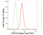 KD-Validated Anti-CRTC3 Rabbit Monoclonal Antibody