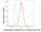 KD-Validated Anti-Diaphanous related formin 1 Rabbit Monoclonal Antibody