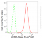 KD-Validated Anti-MCM6 Rabbit Monoclonal Antibody