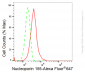KD-Validated Anti-Nucleoporin 155 Rabbit Monoclonal Antibody