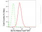 KD-Validated Anti-Bcl10 Rabbit Monoclonal Antibody