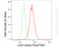 KD-Validated Anti-LGI1 Rabbit Monoclonal Antibody