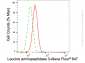 KD-Validated Anti-Leucine aminopeptidase 3 Rabbit Monoclonal Antibody