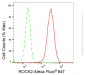 KD-Validated Anti-ROCK2 Rabbit Monoclonal Antibody