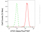 KD-Validated Anti-ATG7 Rabbit Monoclonal Antibody