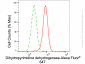 KD-Validated Anti-Dihydropyrimidine dehydrogenase Rabbit Monoclonal Antibody