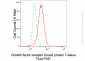 KD-Validated Anti-Growth Factor Receptor Bound Protein 7 Rabbit Monoclonal Antibody