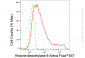 KD-Validated Anti-Histone deacetylase 9 Rabbit Monoclonal Antibody