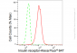 KD-Validated Anti-Insulin receptor Rabbit Monoclonal Antibody