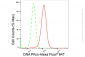 KD-Validated Anti-DNA PKcs Rabbit Monoclonal Antibody
