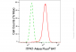 KD-Validated Anti-ITPK1 Rabbit Monoclonal Antibody