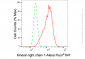 KD-Validated Anti-Kinesin light chain 1 Rabbit Monoclonal Antibody