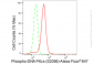 KD-Validated Anti-Phospho-DNA PKcs (S2056) Rabbit Monoclonal Antibody