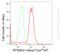 KD-Validated Anti-RPS6KA1 Rabbit Monoclonal Antibody